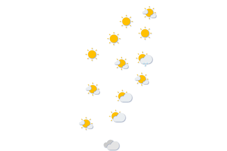 Forecast