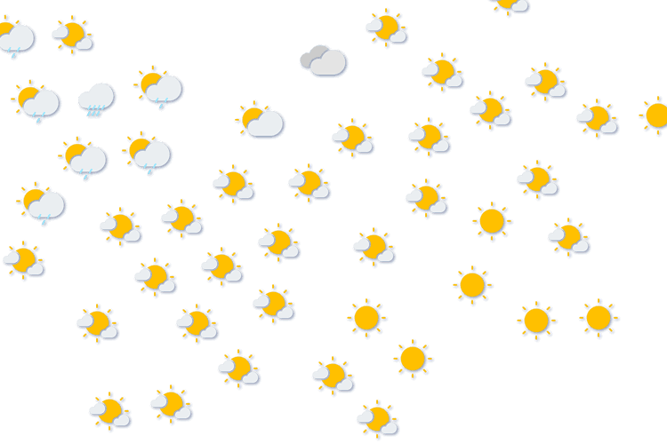 Forecast
