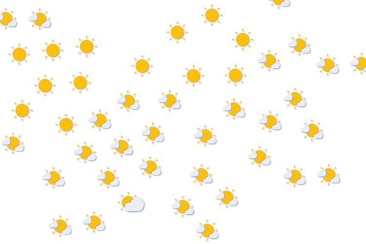 Forecast