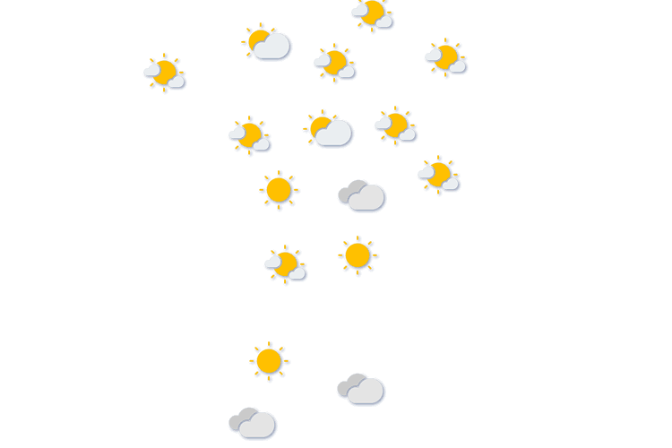 Forecast