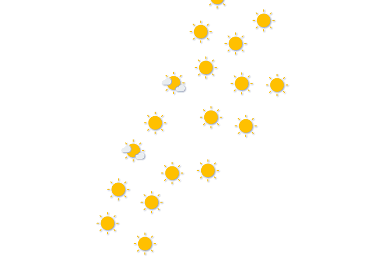 Forecast