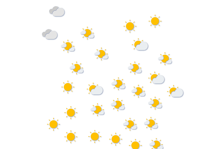 Forecast
