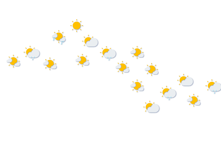 Forecast