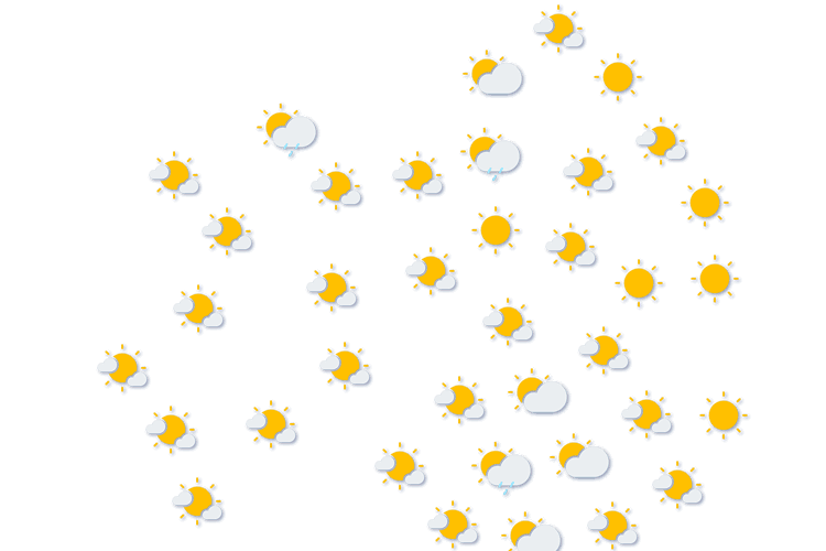 Forecast