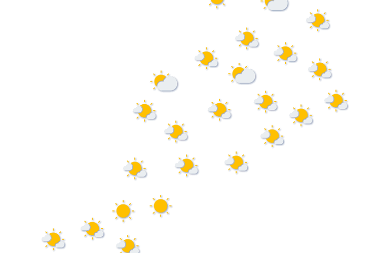 Forecast