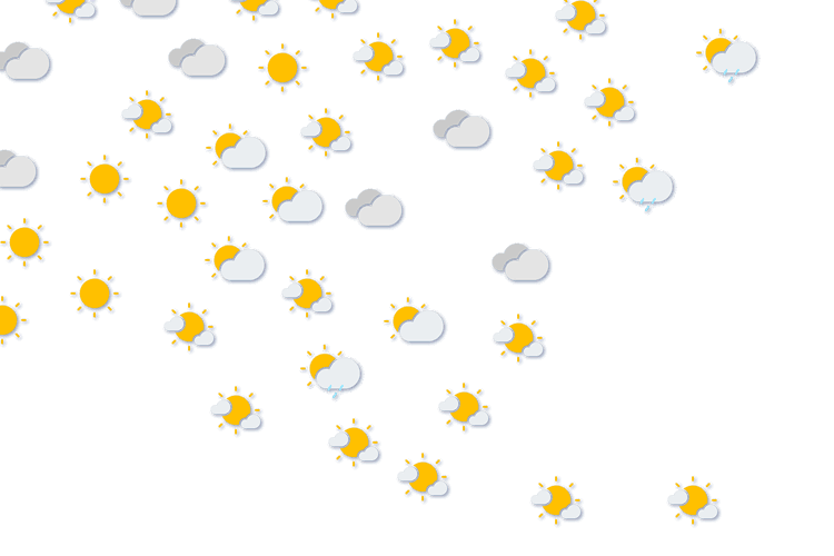 Forecast