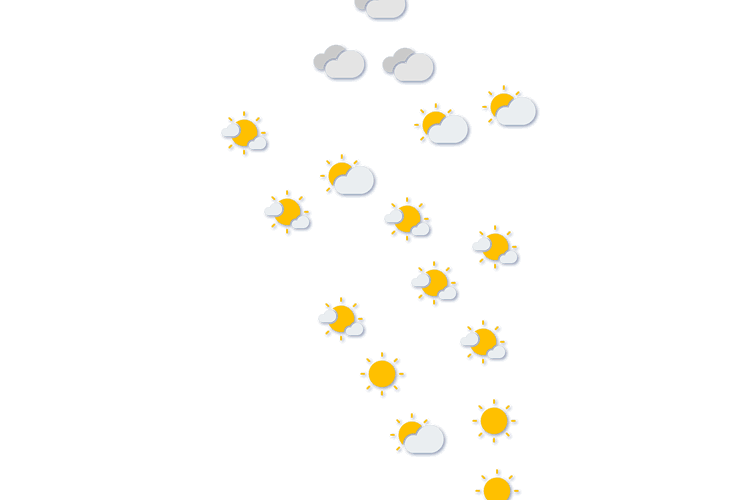 Forecast