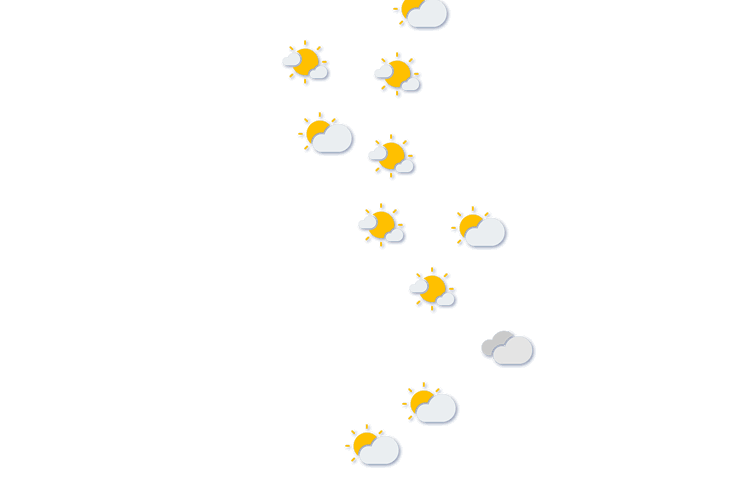 Forecast