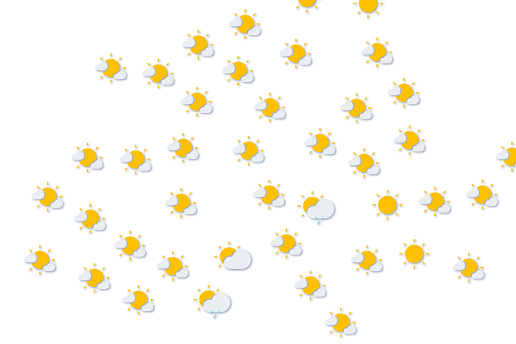 Forecast