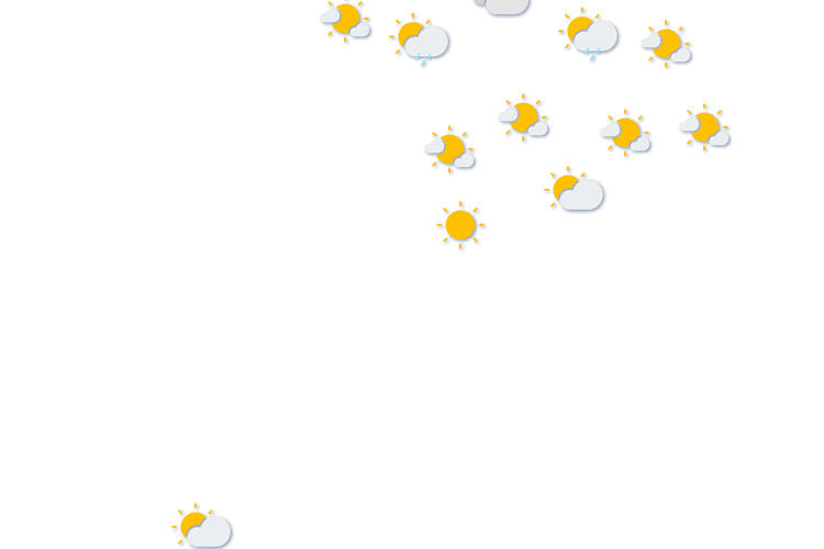 Forecast