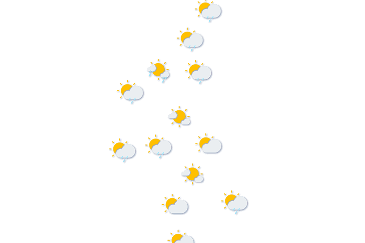 Forecast