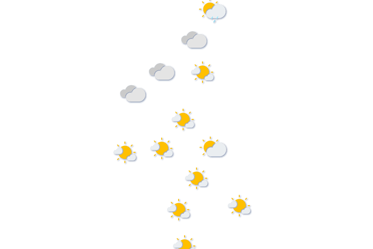 Forecast