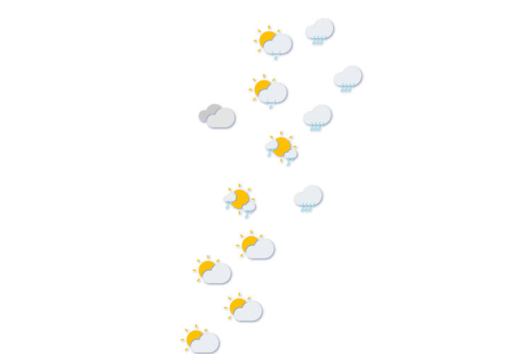 Forecast