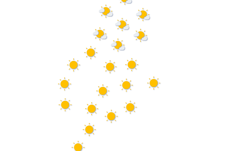 Forecast