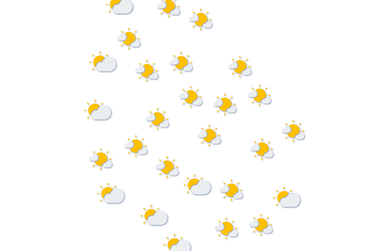 Forecast