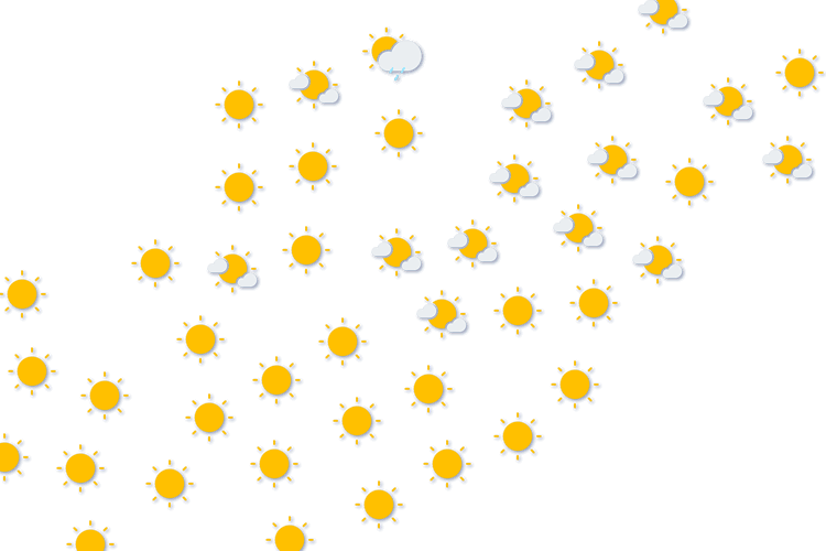 Forecast