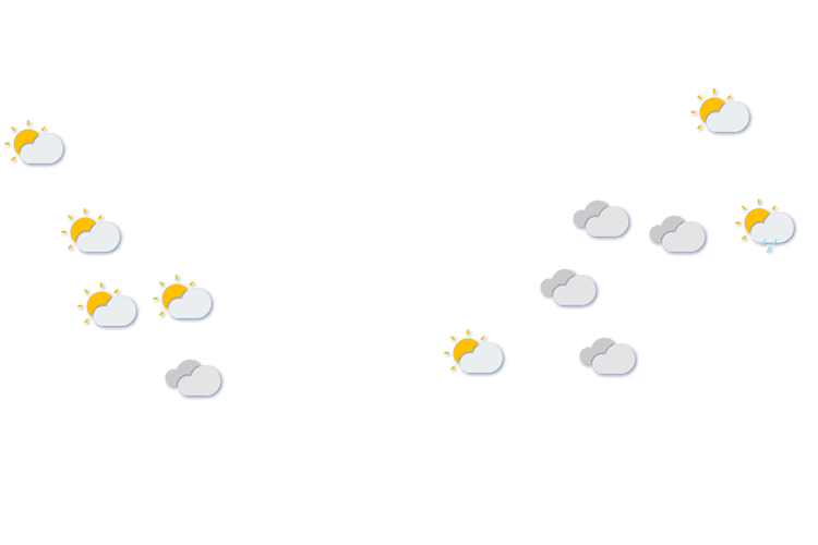 Forecast