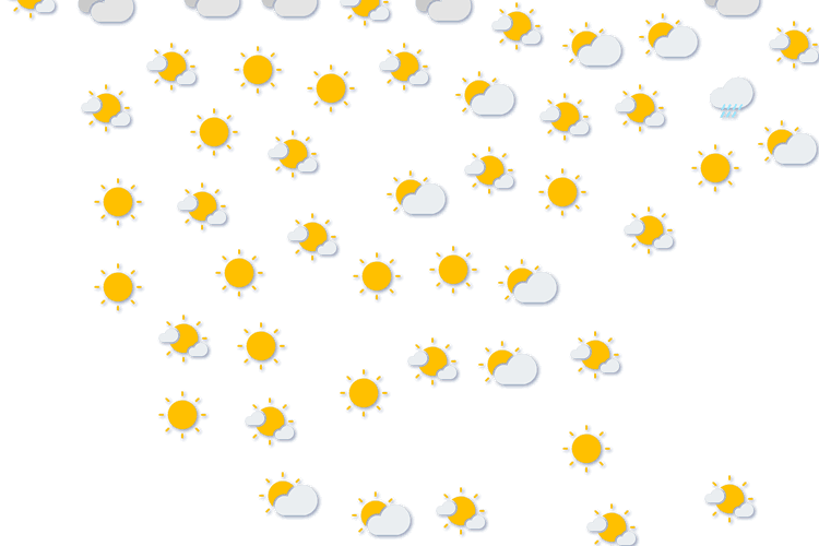 Forecast