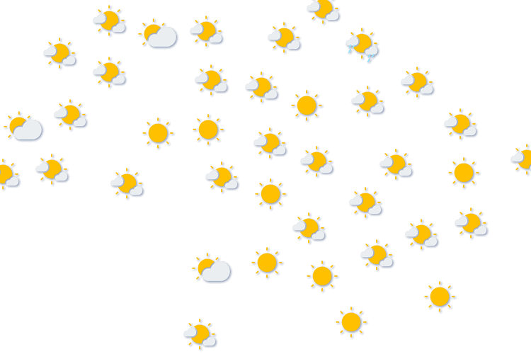 Forecast