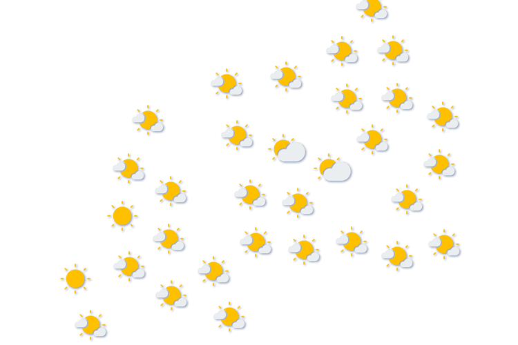 Forecast