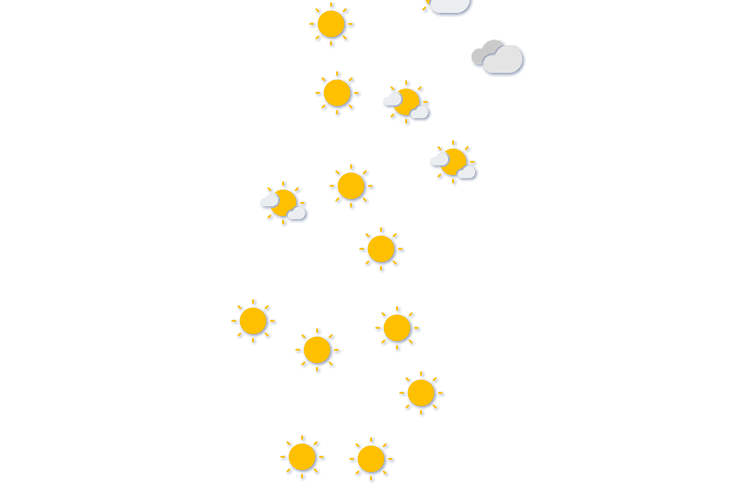 Forecast