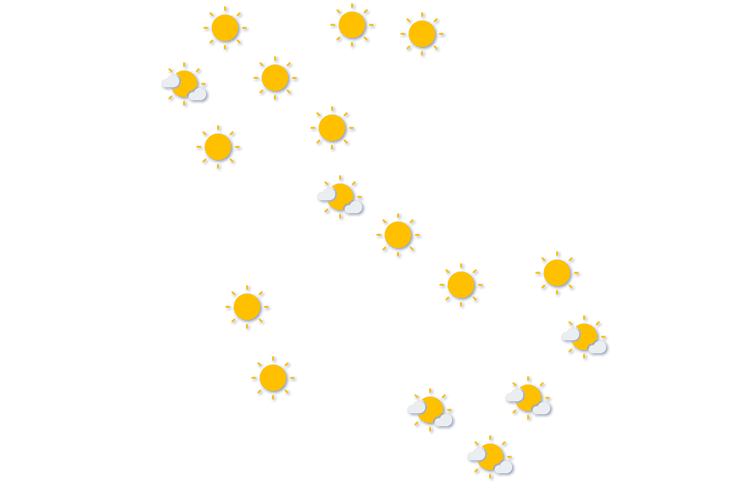 Forecast
