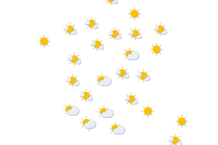 Forecast
