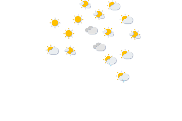 Forecast