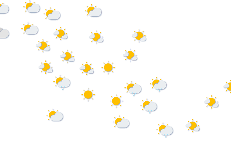 Forecast