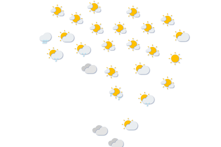 Forecast