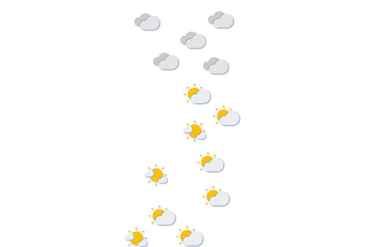 Forecast