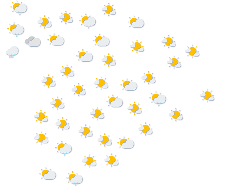 Forecast