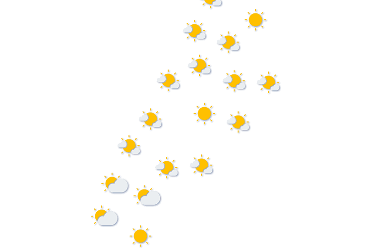 Forecast