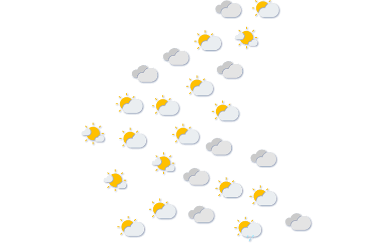Forecast