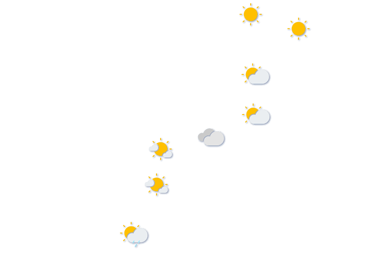 Forecast