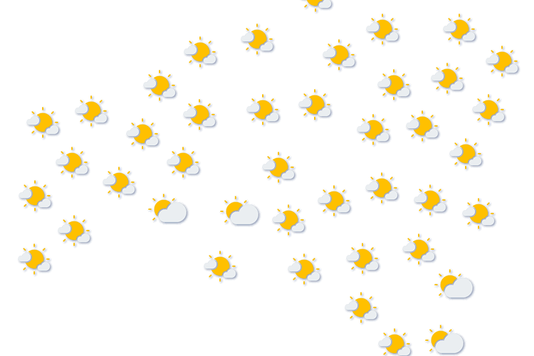 Forecast