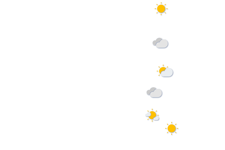 Forecast