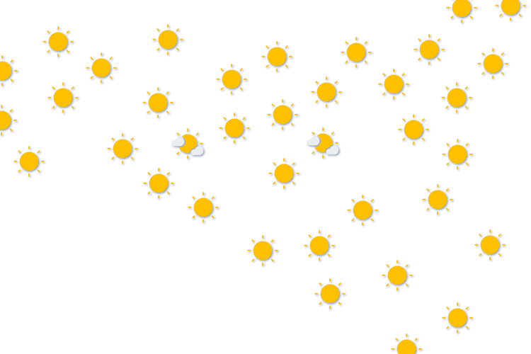 Forecast