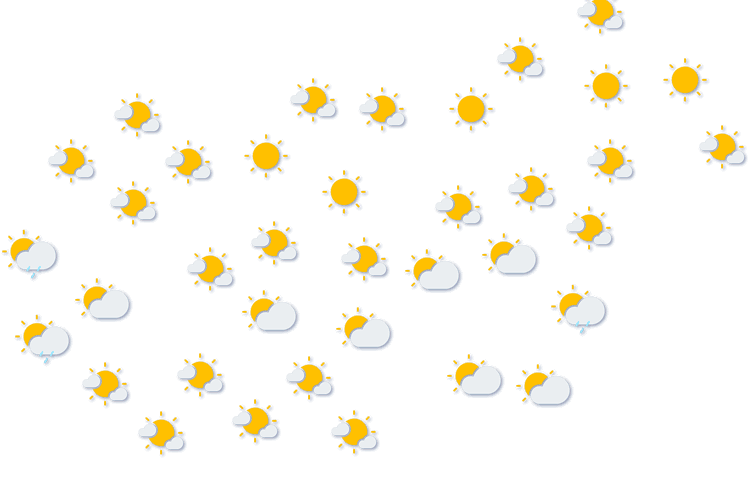 Forecast