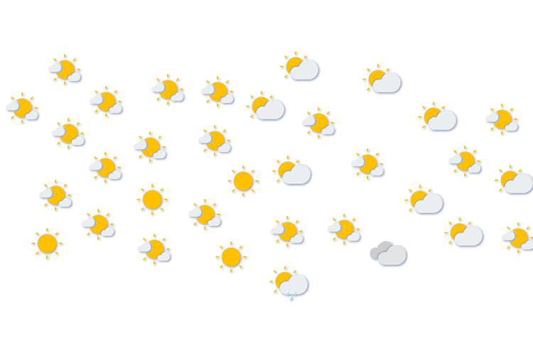 Forecast