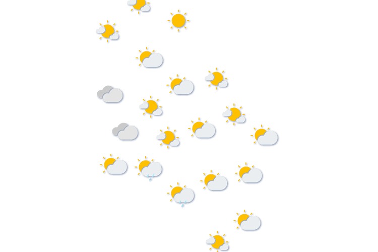 Forecast
