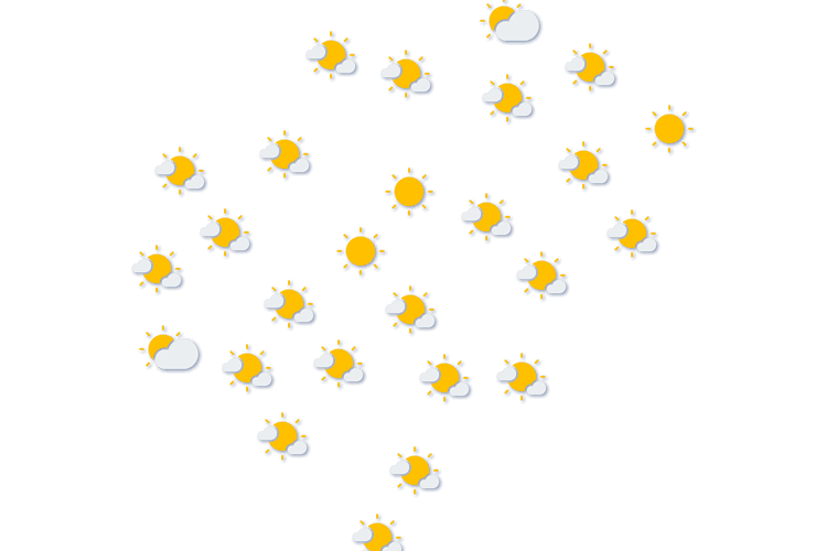 Forecast
