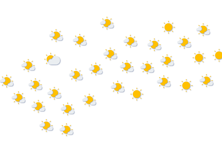 Forecast