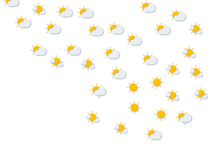 Forecast