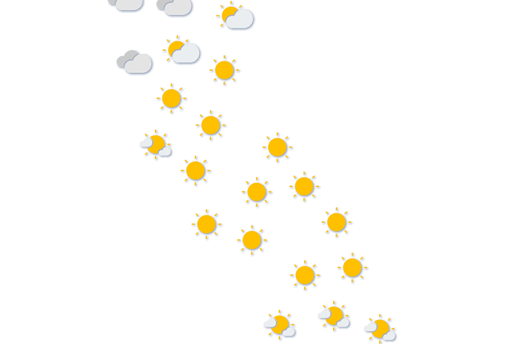 Forecast