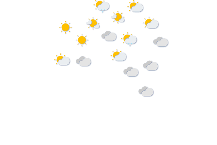 Forecast