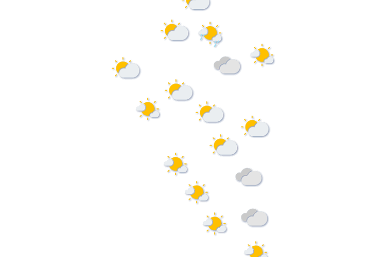 Forecast