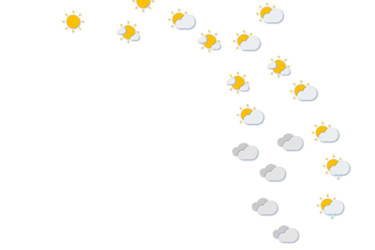 Forecast