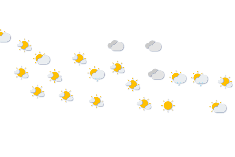 Forecast