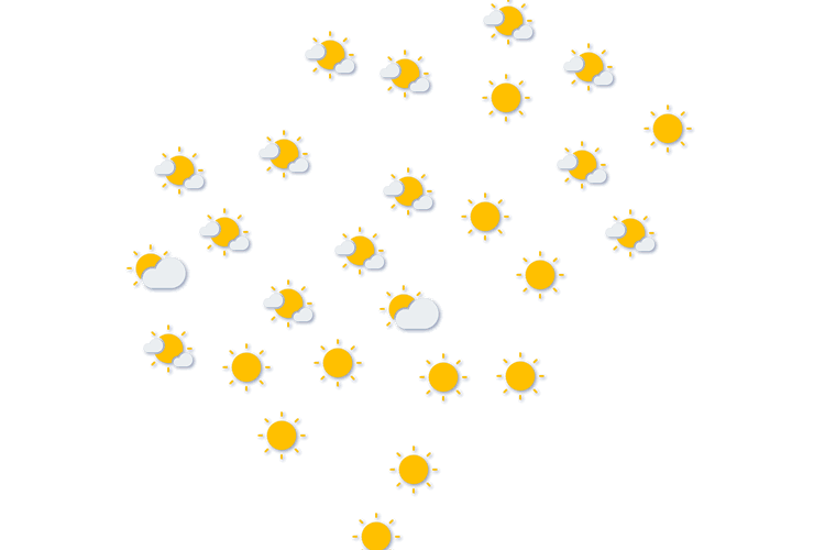 Forecast